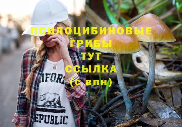 круглые Алзамай
