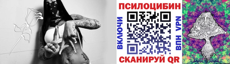 купить наркотики цена  Чапаевск  Галлюциногенные грибы Psilocybe 